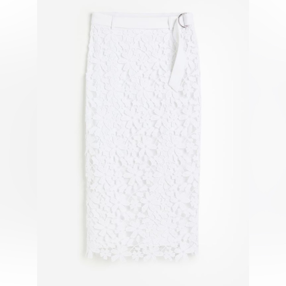 NWT H&M lace skirt - Picture 2 of 5